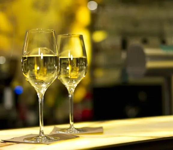 科尼格酒店 帕绍