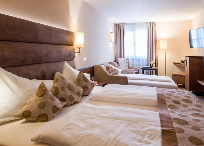 科尼格酒店 帕绍