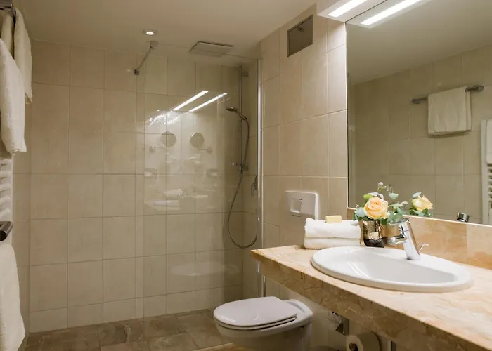 酒店 科尼格酒店 帕绍