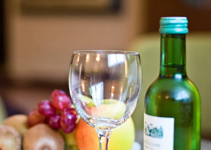 ケーニッヒ ホテル パッサウ