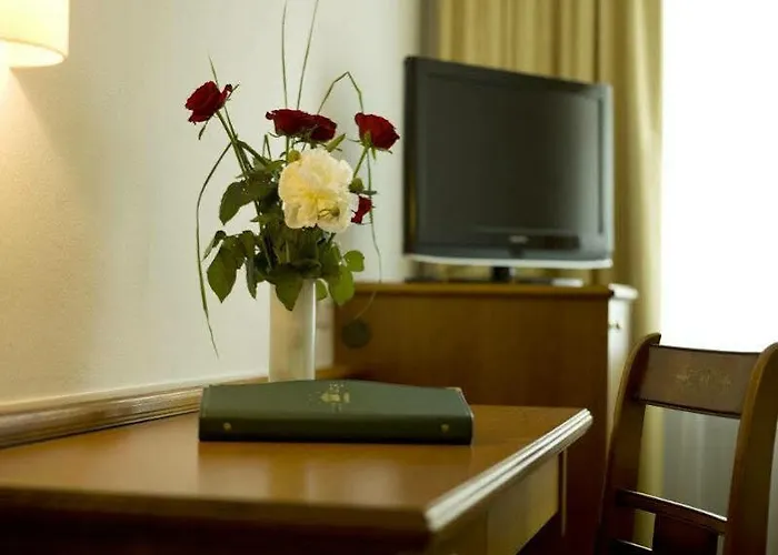 科尼格酒店 酒店 4*